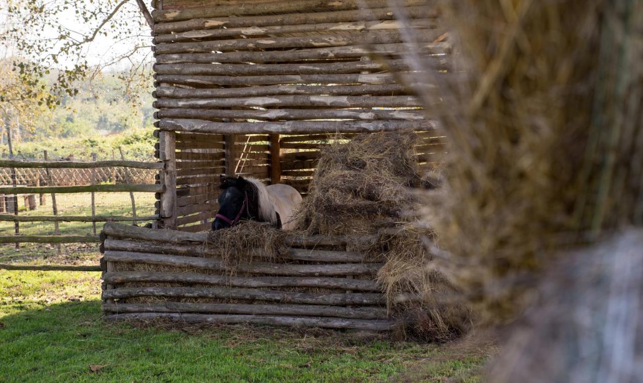 Country House Nonno Andrea Limatola Exterior foto
